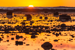 １１月の鵜ノ崎海岸　拾遺②