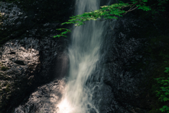 峨瓏の滝　青葉