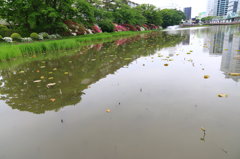 秋田駅前広小路