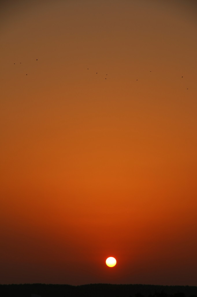 夕陽