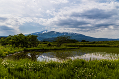 鳥海山　現像B