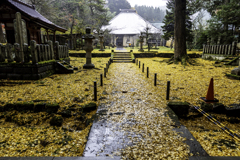 銀杏寺