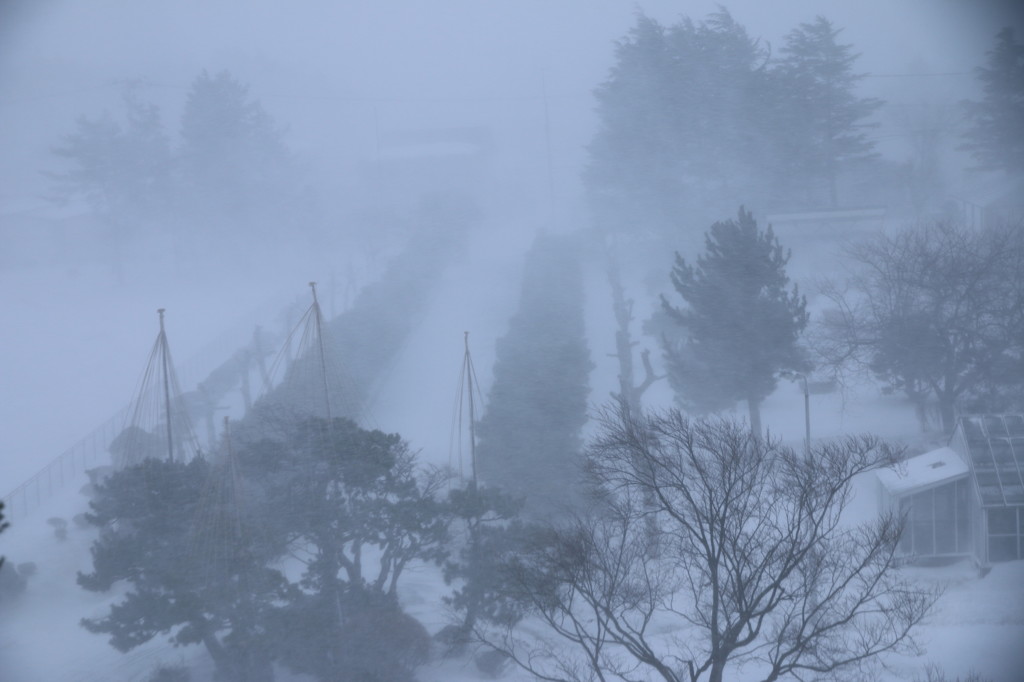 風雪