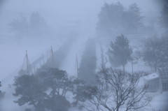 風雪