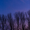 夕月 Ⅰ
