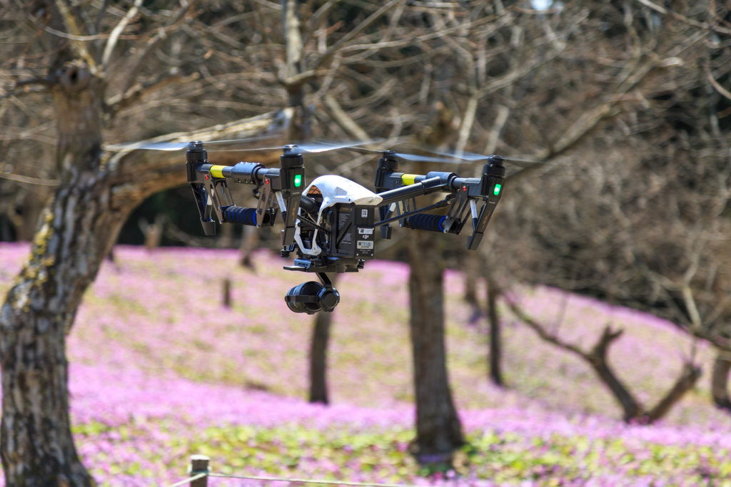 片栗畑のドローン