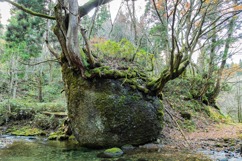 ネコバリ岩　Ⅱ