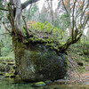 ネコバリ岩　Ⅱ