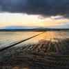 水田と層雲　Ⅱ