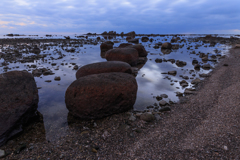 海の岩