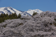 中山河川公園より