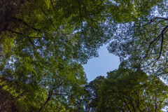 小さな空