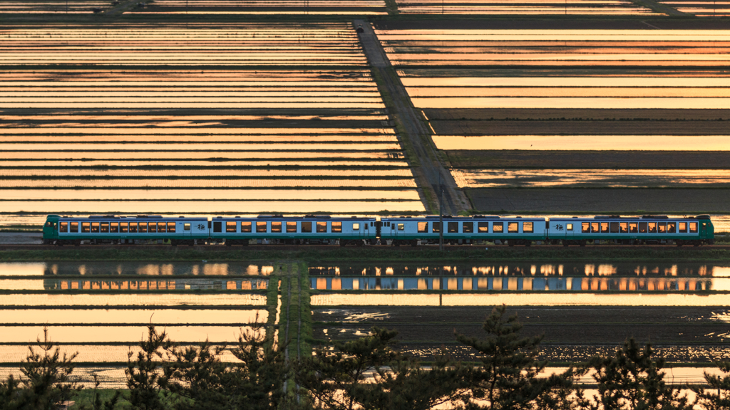 橅号