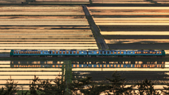 橅号
