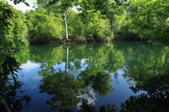 新緑の地蔵沼