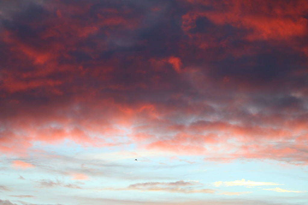 雨後の夕雲
