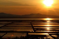 南秋平野の夕陽