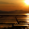 南秋平野の夕陽