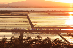 青池号