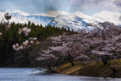 四角井戸溜池より　Ⅱ