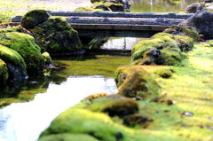 木橋