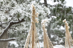 雪釣り