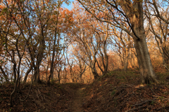 男鹿の山道　Ⅳ　
