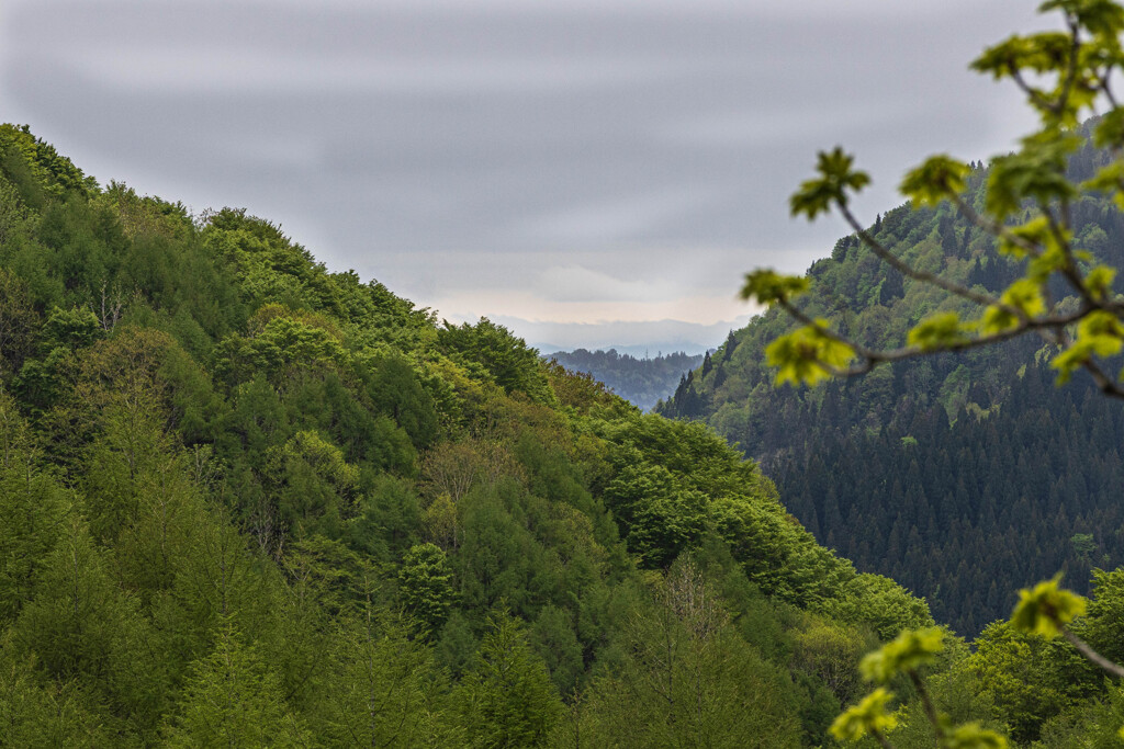 山峡