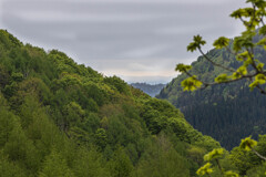 山峡