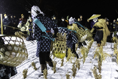 雪中田植え