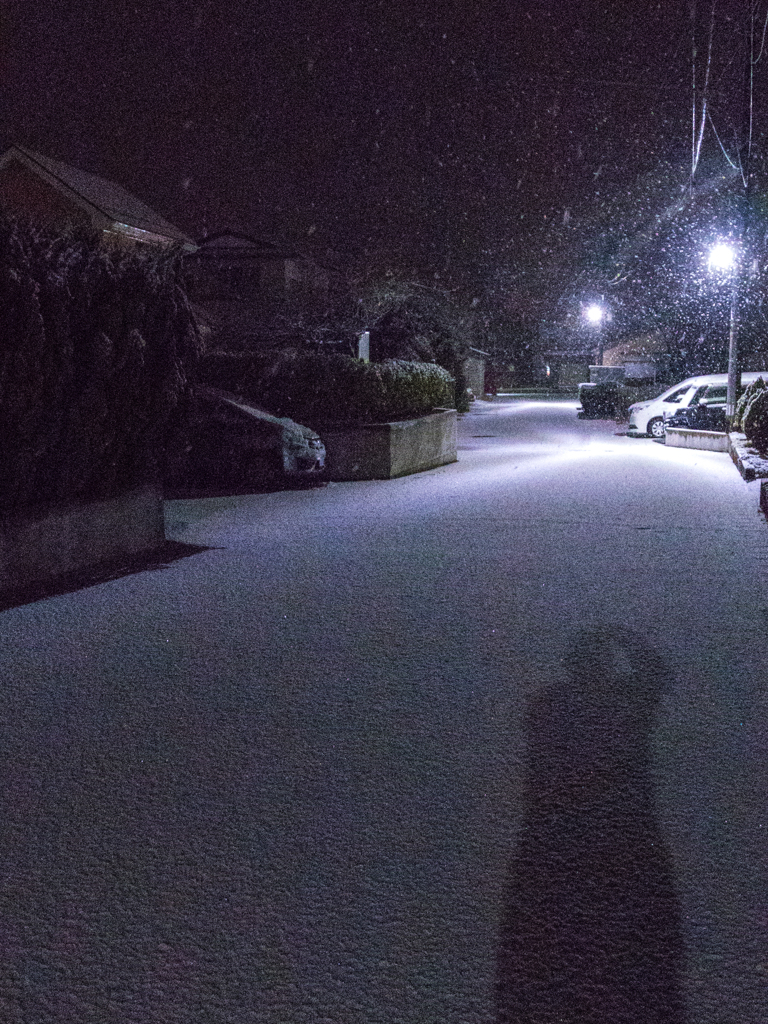 降雪　ISO 40000