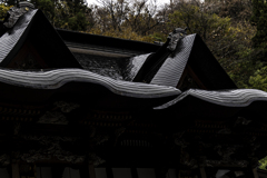 屋根　
