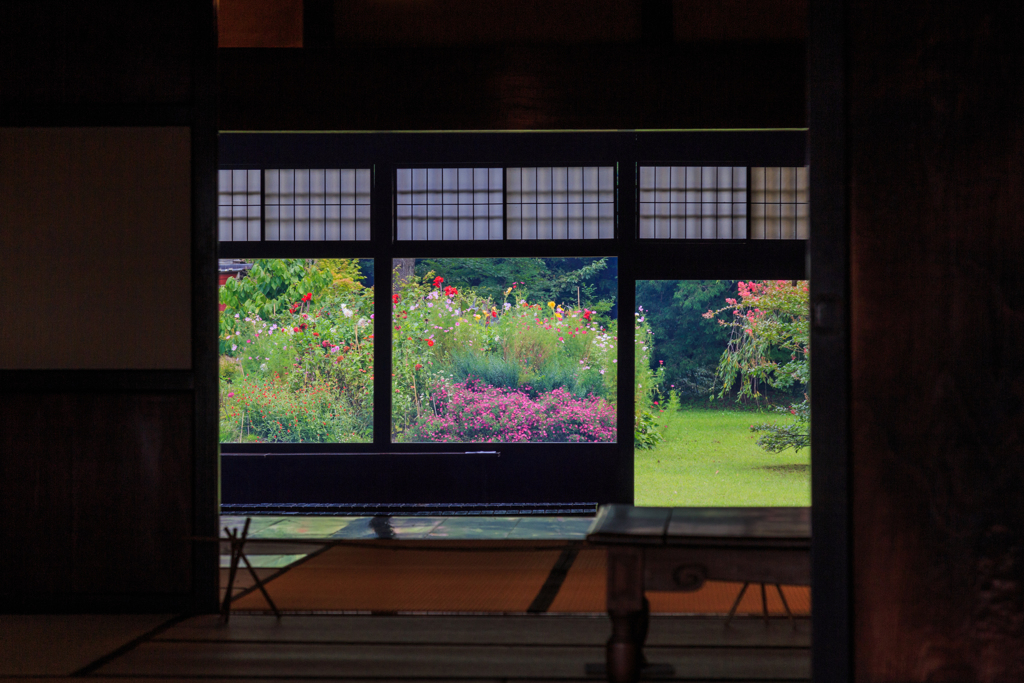三浦館　初秋の花