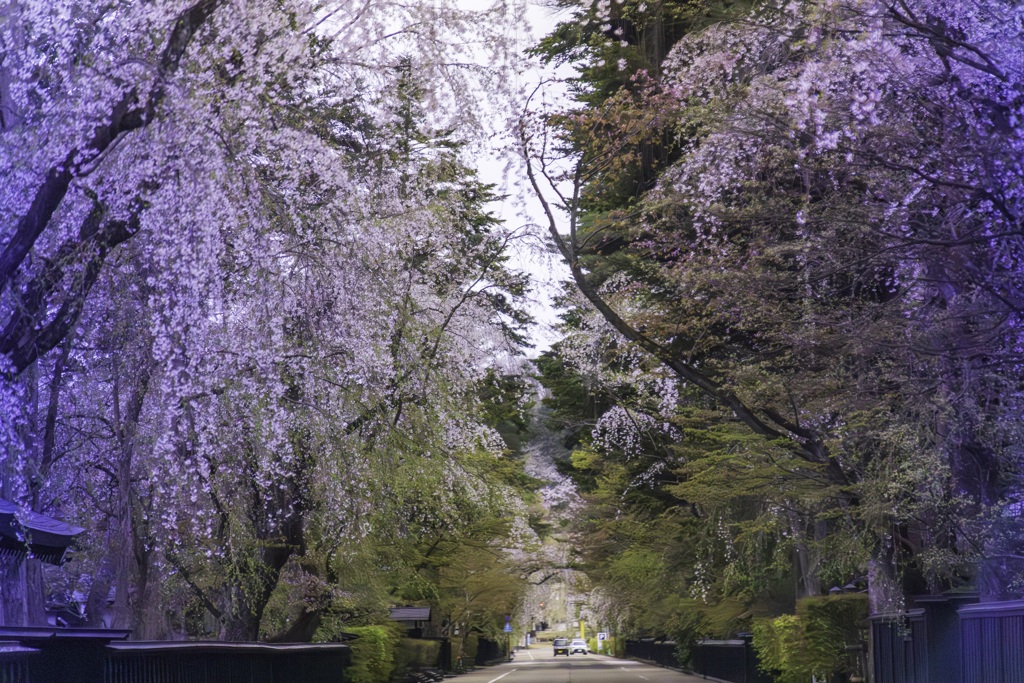 干渉する色彩