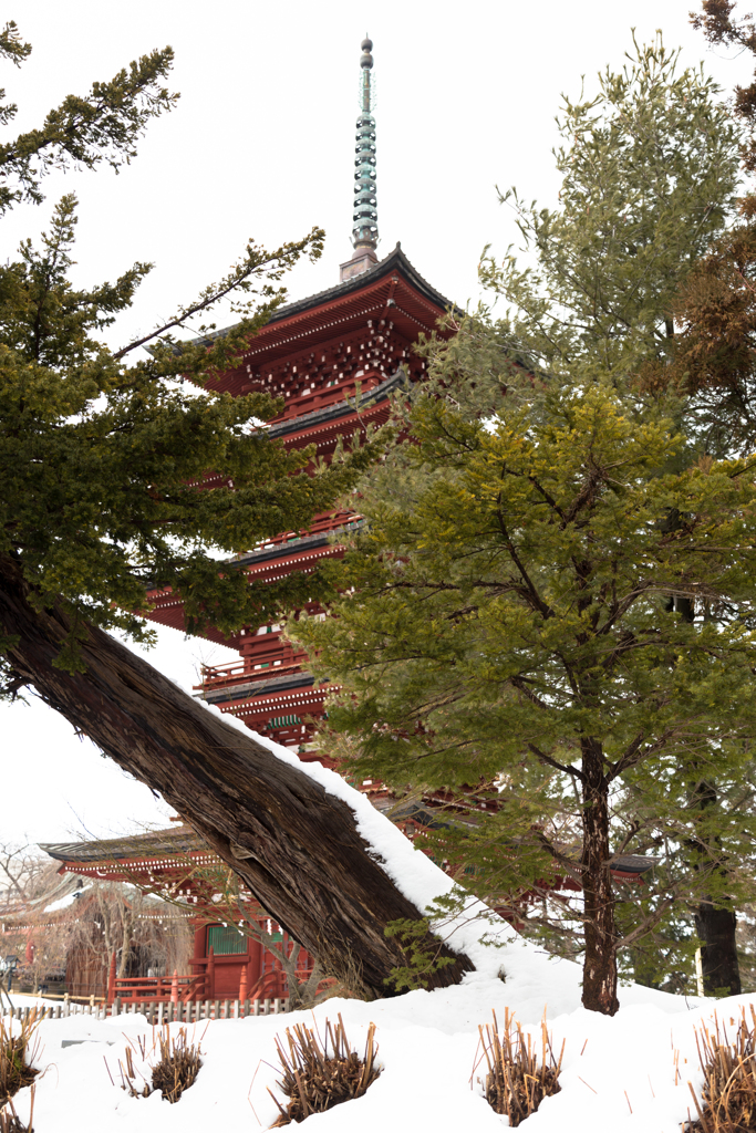 最勝院  五重塔　Ⅱ