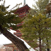 最勝院  五重塔　Ⅱ
