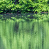 水辺