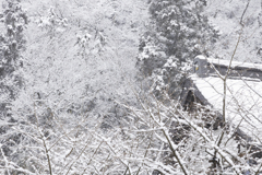 雪の日