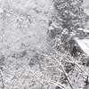 雪の日