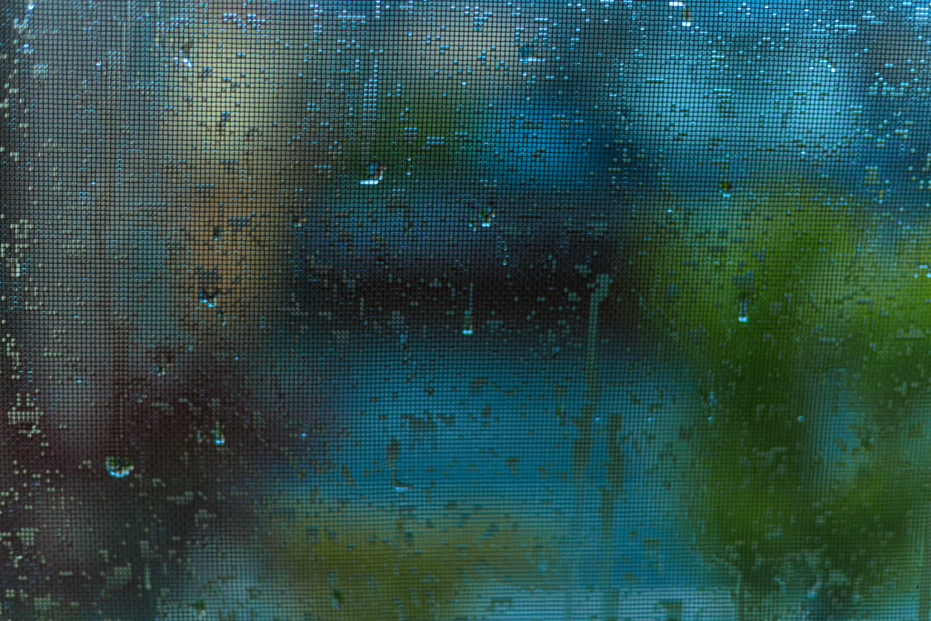 窓の雨