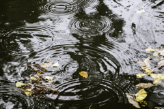 冬の雨