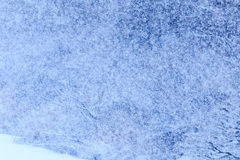 降雪