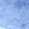 降雪