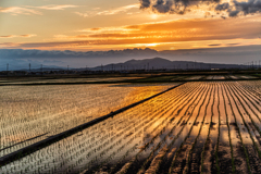 夕田