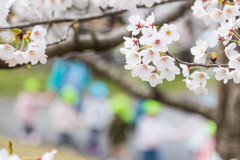 手をつないでね