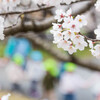 手をつないでね