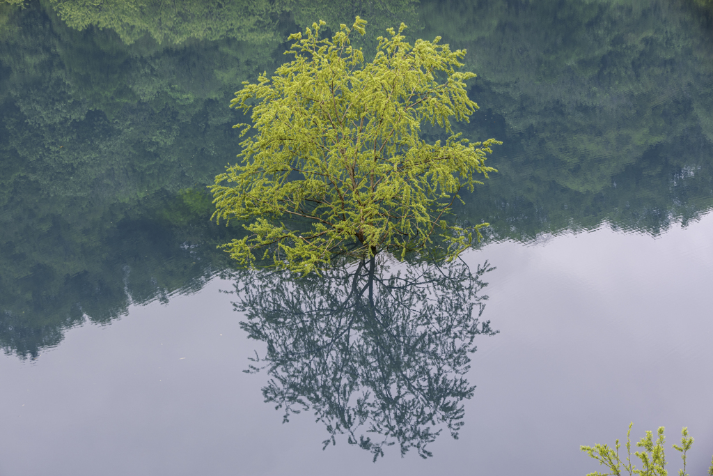 秋扇湖　Ⅲ