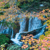 岩瀬川渓流　Ⅴ