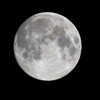 九月八日