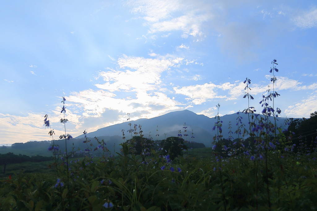 秋田駒ヶ岳